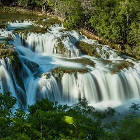 Vacation Labudica, 3 Sobe * Raslina